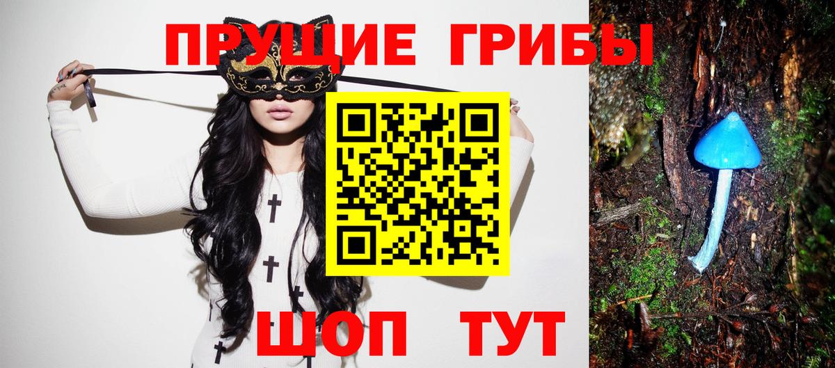 купить наркоту  Вход с VPN  Дубна  Псилоцибиновые грибы Psilocybe 