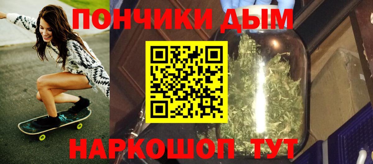 Конопля сатива Дубна